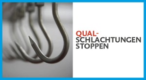 qualschlachtungen_6001-300x165